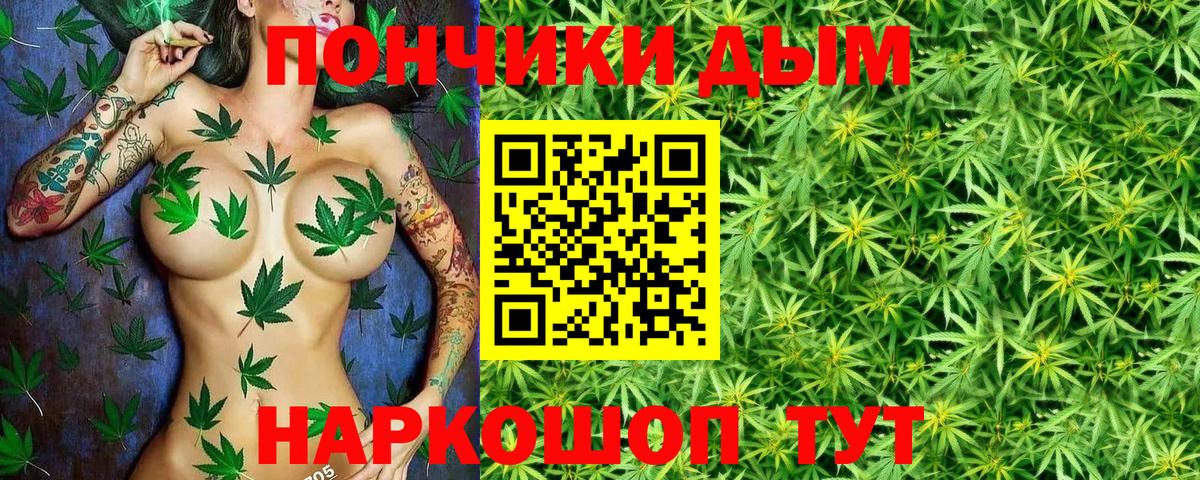 Каннабис семена  МАРИХУАНА сатива  Буйнакск  Марихуана семена  Вход с VPN 